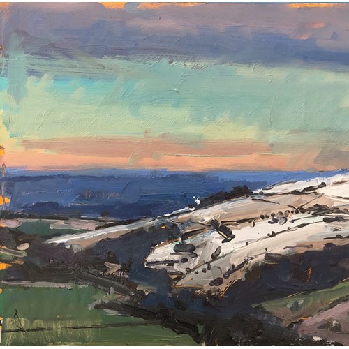 Last of the snow, South Downs 2025